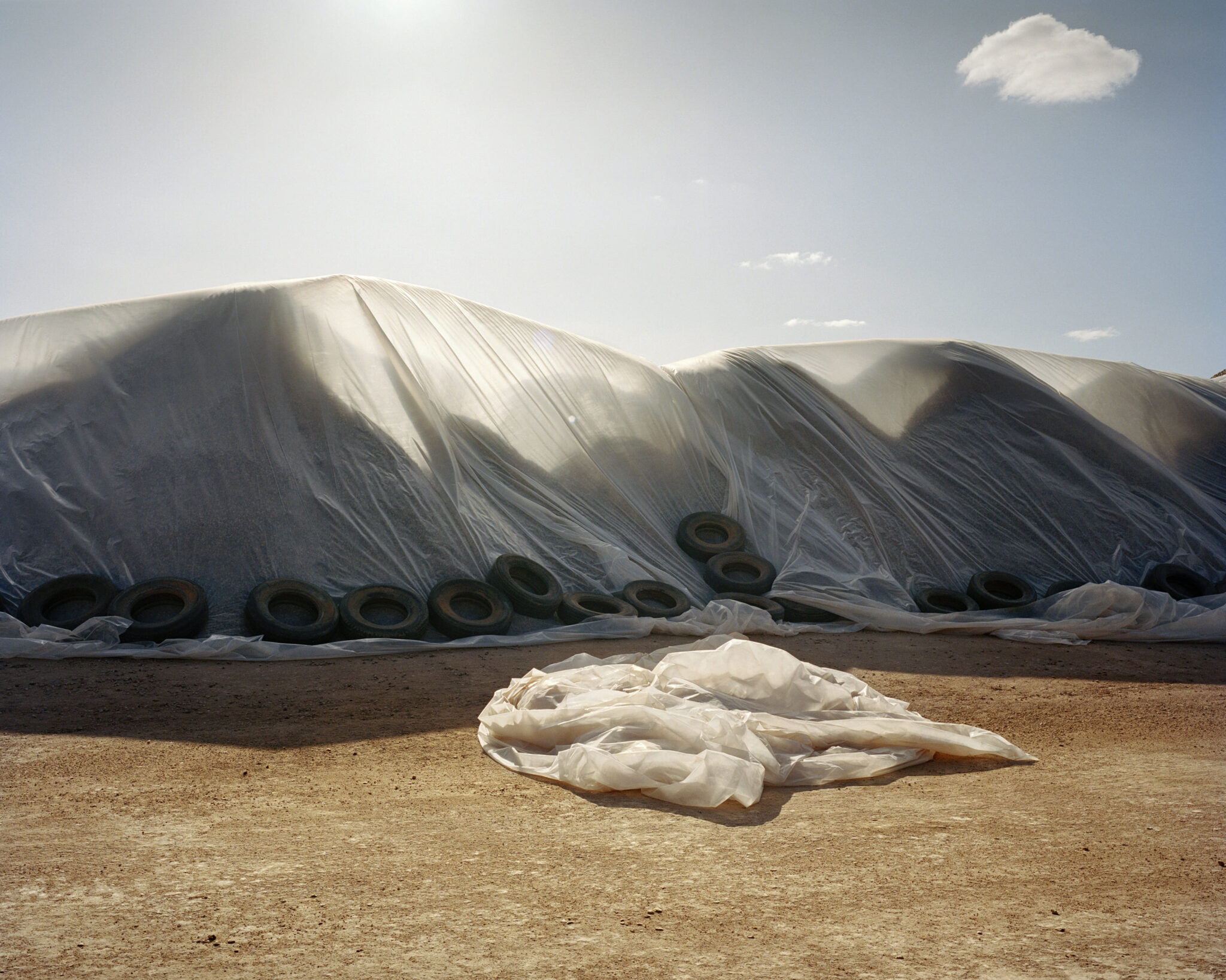 Fondation Louis Roederer © Adam Ferguson, Big Sky 8