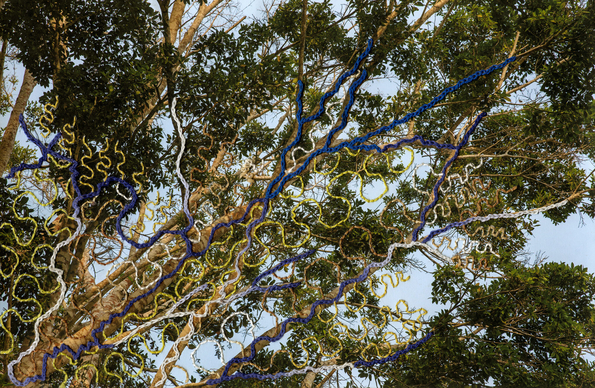 Fondation Louis Roederer © Ana Elisa Sotelo & Sadith Silvano, Portraits of the Multiverse 3
