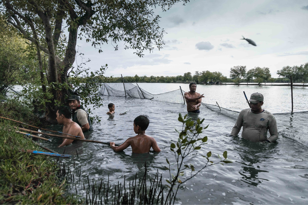Fondation Louis Roederer © Irene Barlian Land of the Sea 10