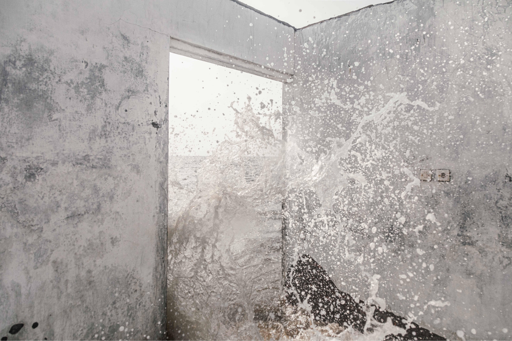 Fondation Louis Roederer © Irene Barlian Land of the Sea 6