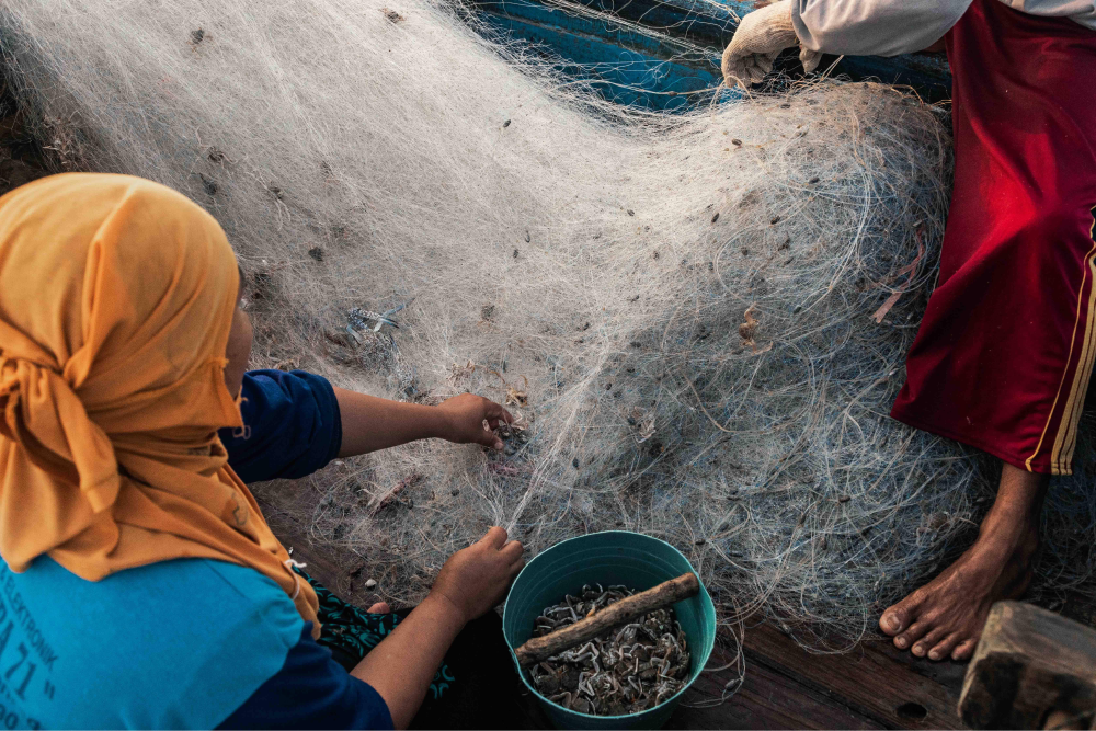 Fondation Louis Roederer © Irene Barlian Land of the Sea 7