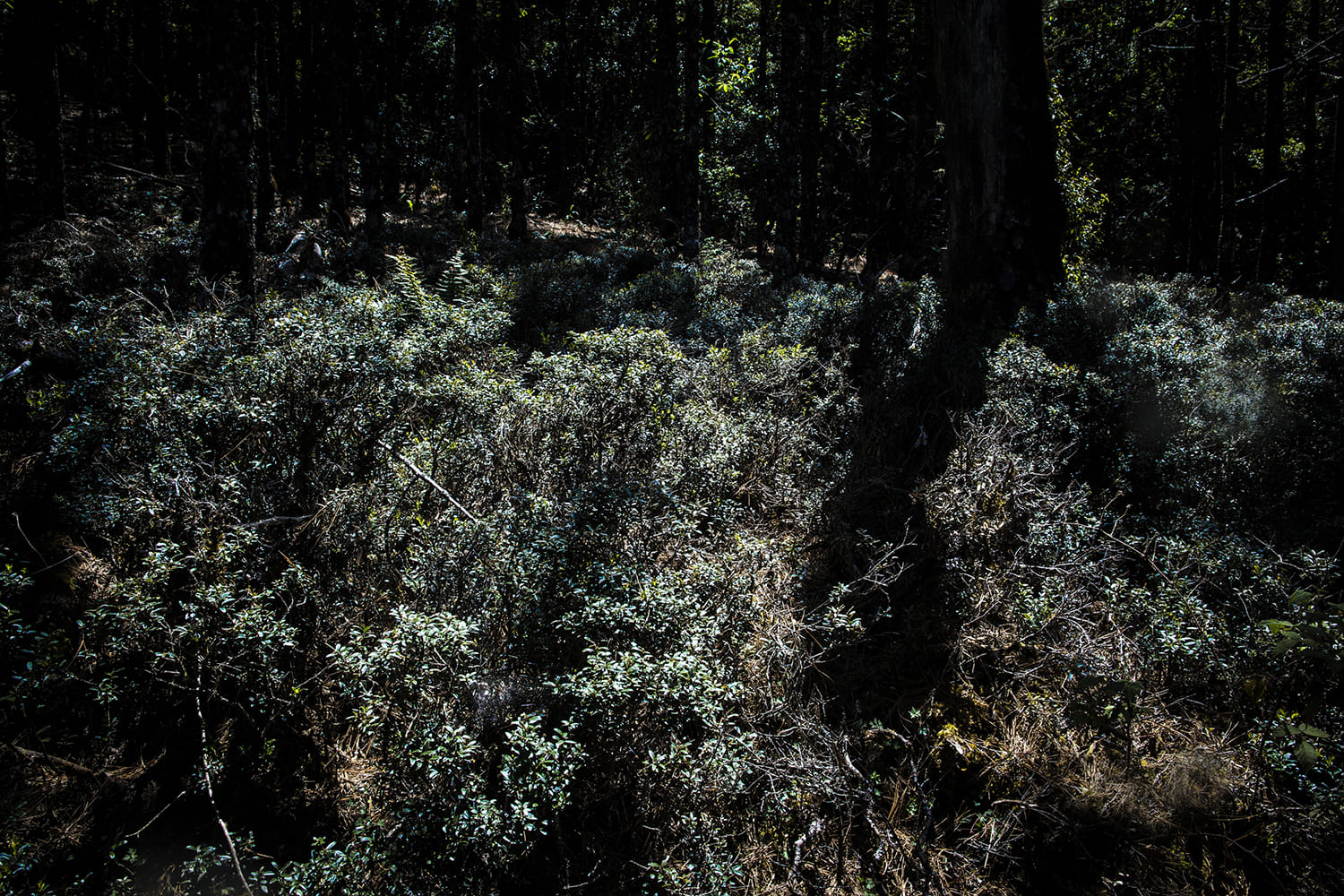 Fondation Louis Roederer © Maya Goded - Healing, earth and body - 10