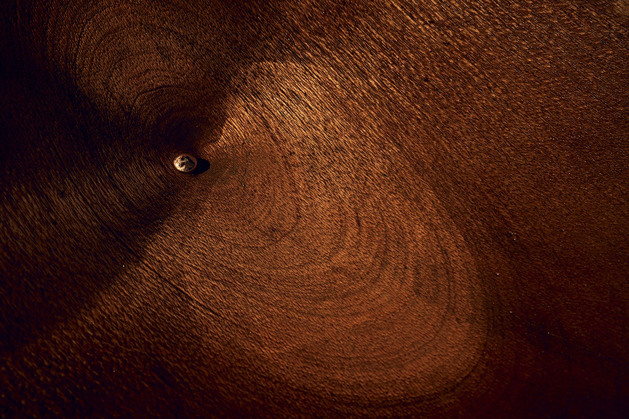 Fondation Louis Roederer © Maya Goded - Healing, earth and body - 3