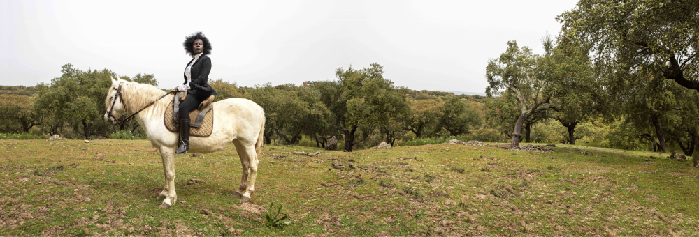 Fondation Louis Roederer © Monica de Miranda The Island 4