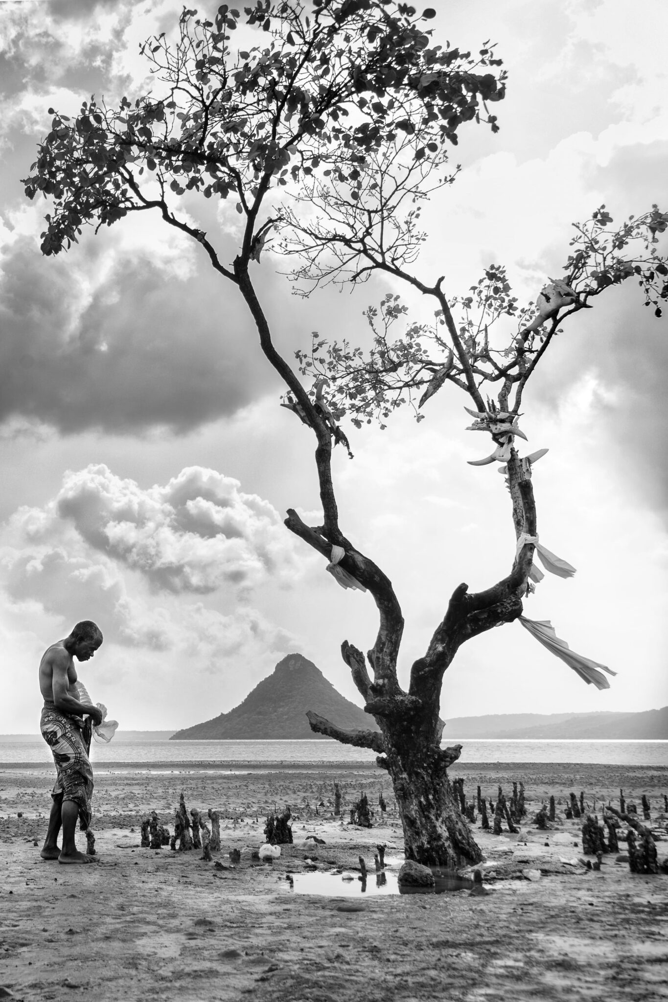 Fondation Louis Roederer © Pierrot Men Madagascar 4