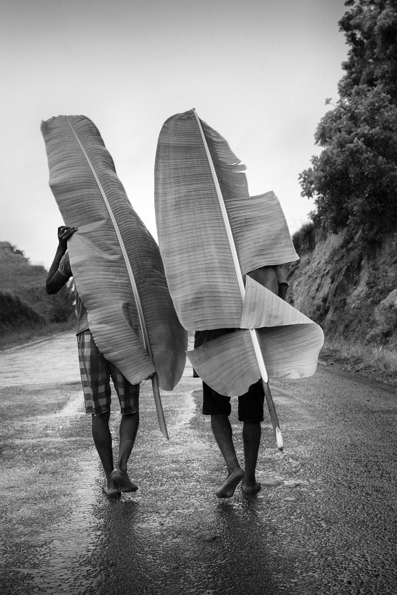 Fondation Louis Roederer © Pierrot Men Madagascar 8