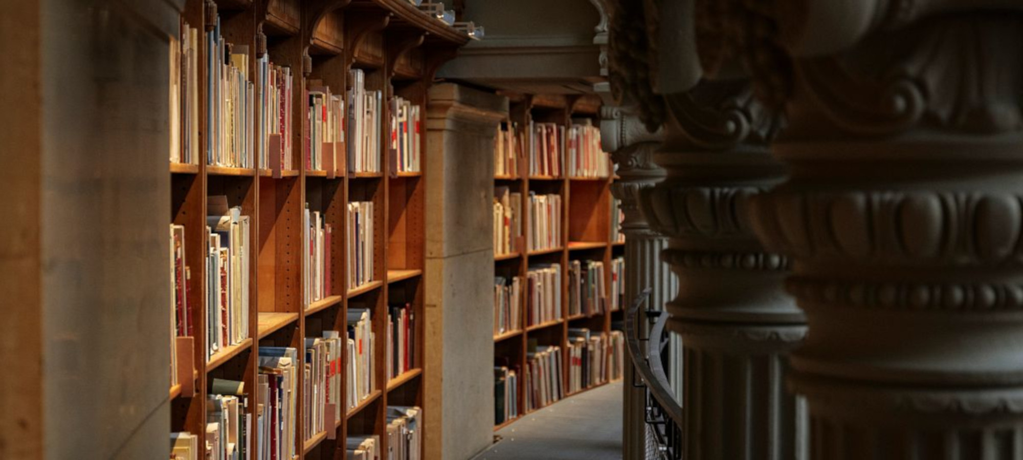 fondation-louis-roederer-bibliotheque-nationale-de-france-coursives-de-la-salle-ovale-copyright-elie-ludwig-banner