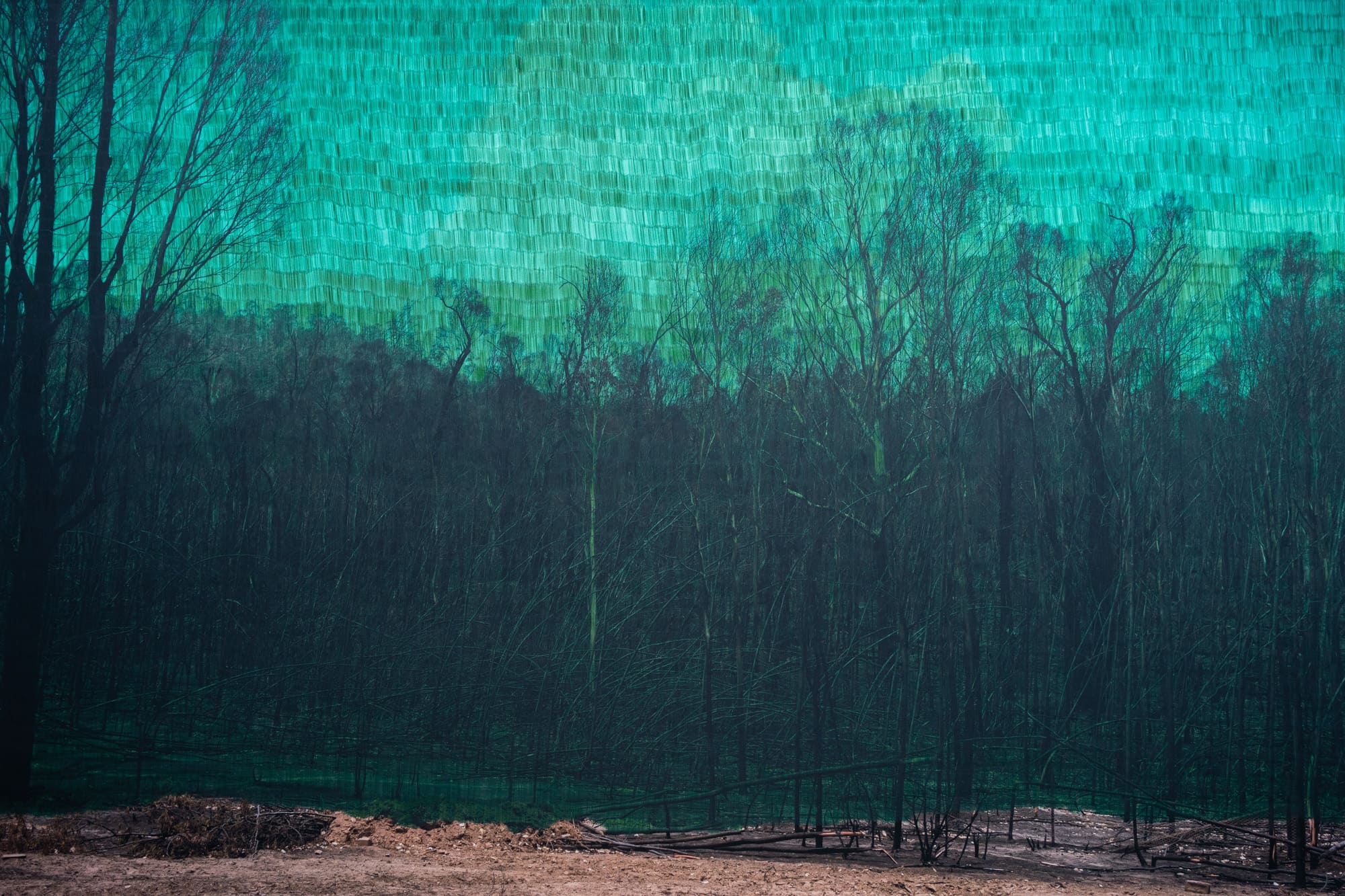 fondation-louis-roederer-oeuvre-contemporaine-this-too-shall-pass-copyright-morvarid-k-courtesy-of-bigaignon