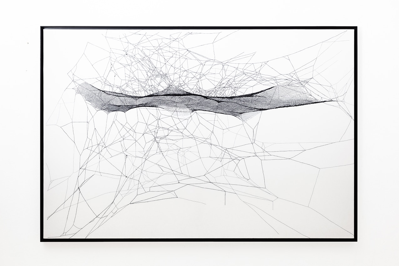 Tomàs Saraceno, Arachne's handwoven SpiderWeb Map of semi-social 29 Cephei, with one Cyrtophora citricola - five weeks