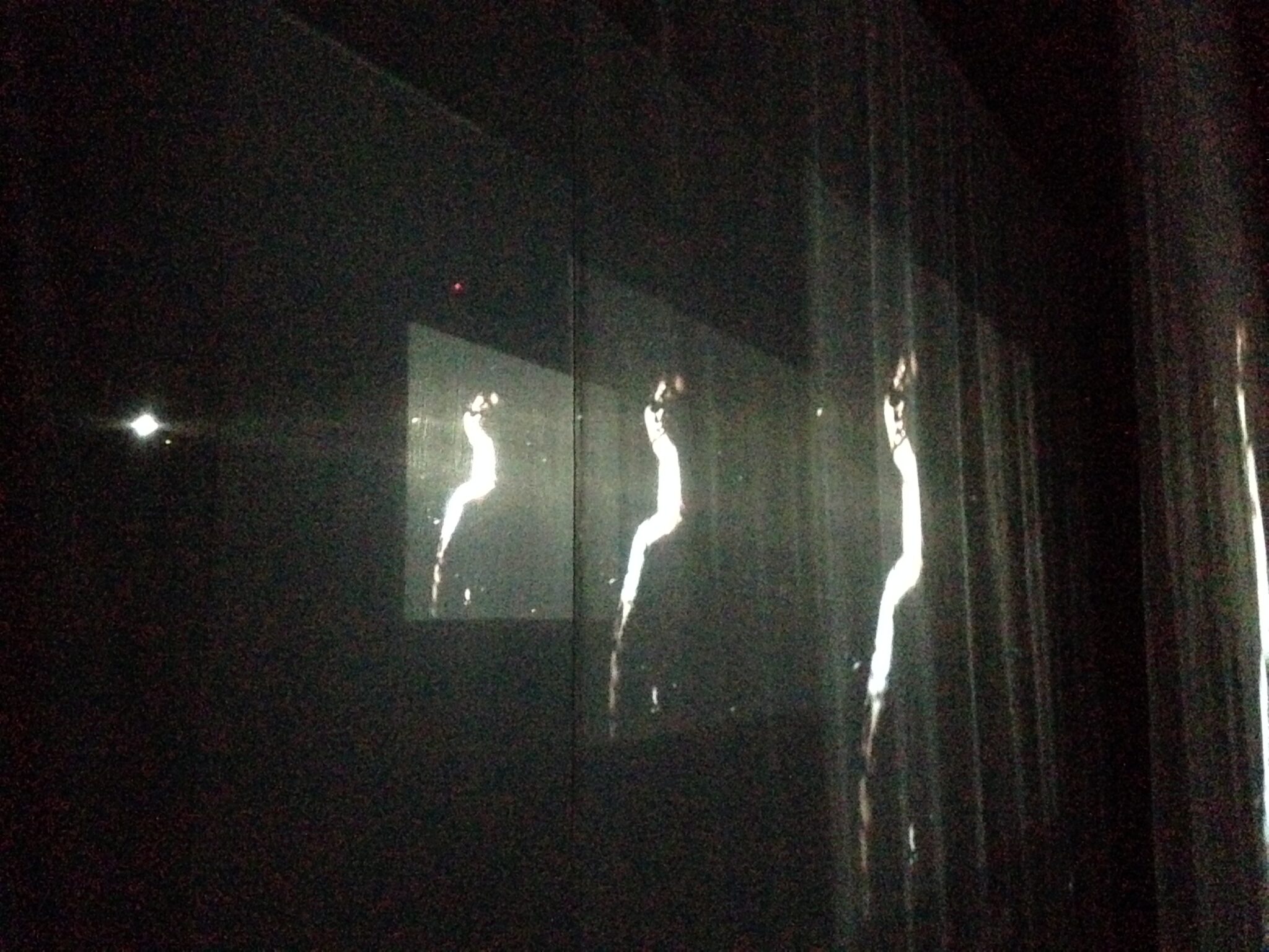 fondation-louis-roederer-grand-palais-exposition-bill-viola