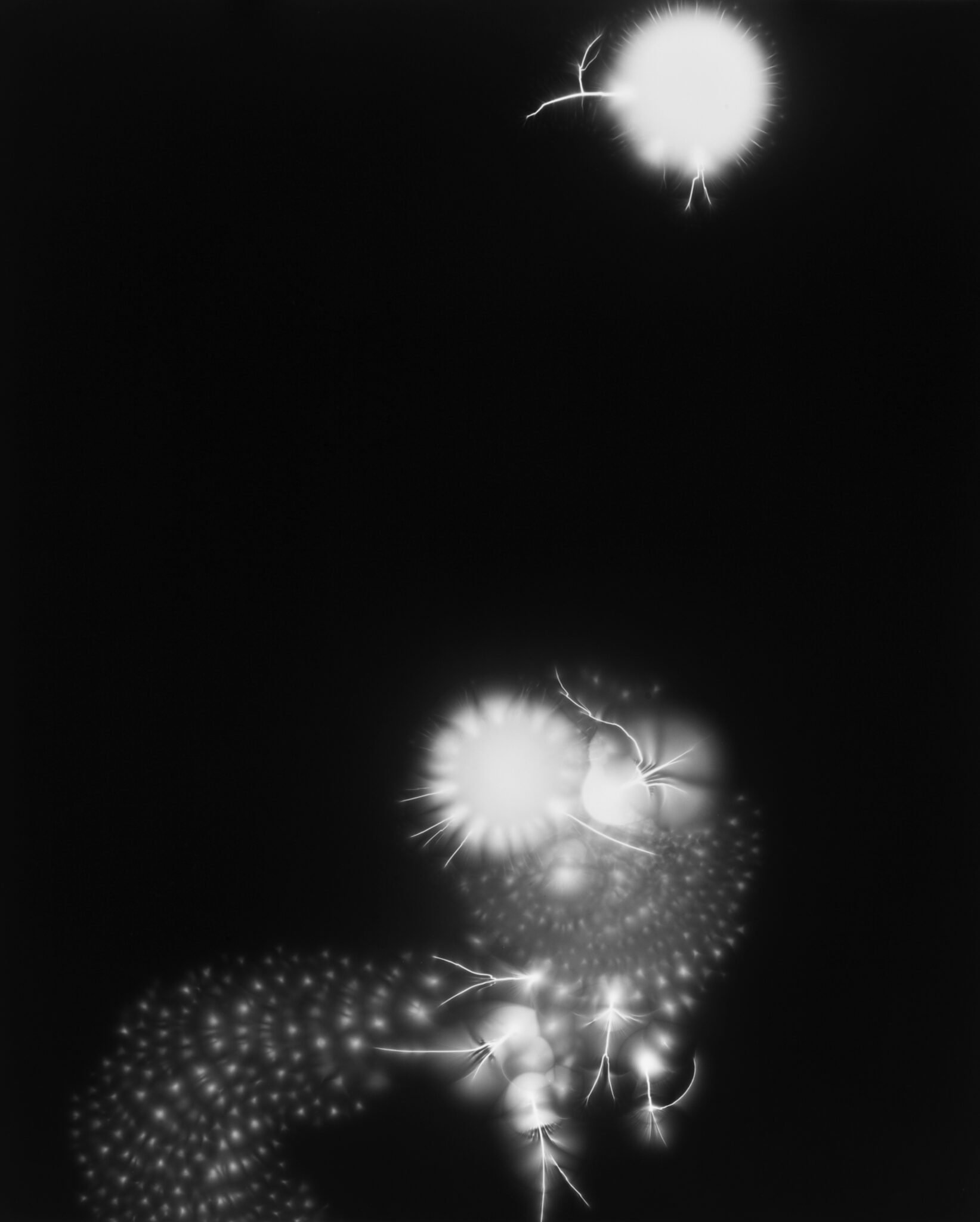 fondation-louis-roederer-palais-de-tokyo-exposition-sugimoto-lightning-fields