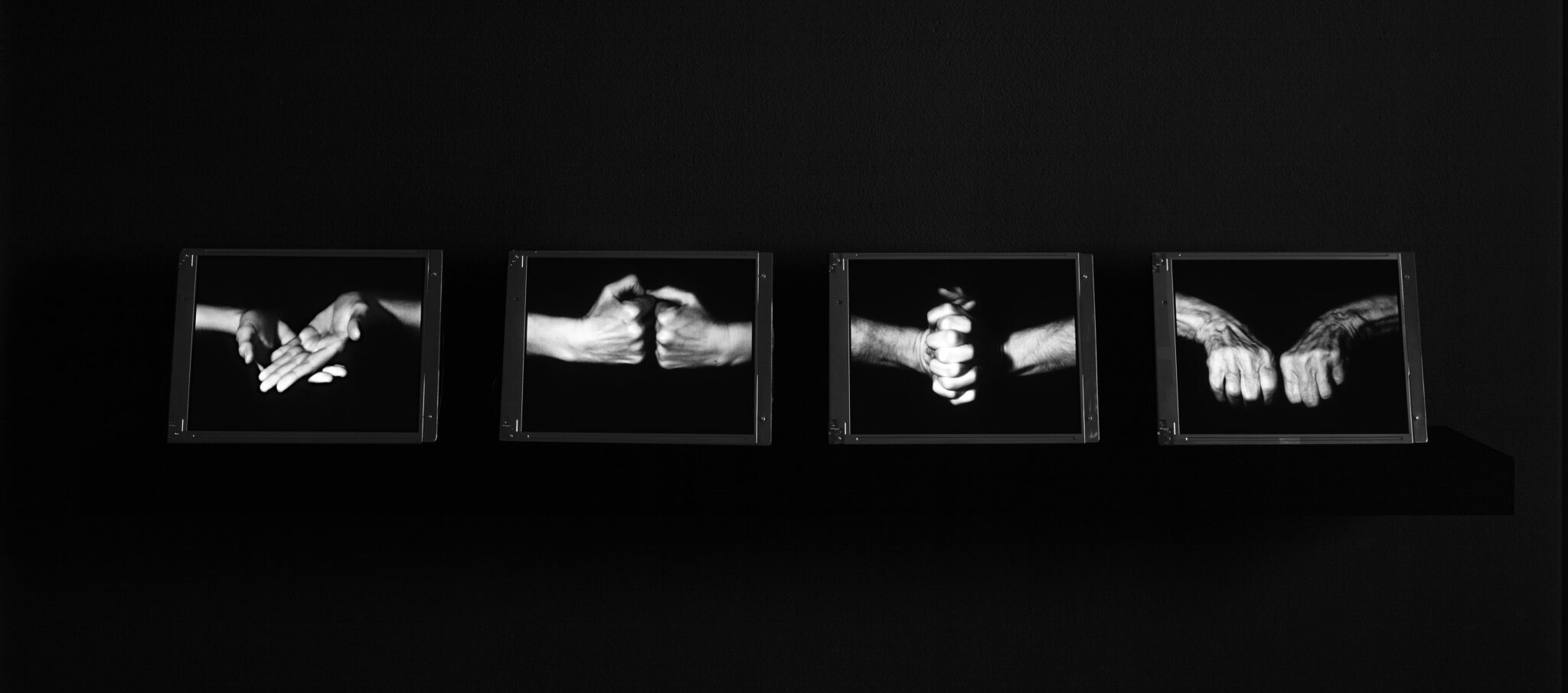 fondation-louis-roederer-grand-palais-exposition-bill-viola
